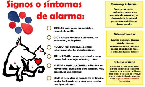 curso de biomagnetismo en animales