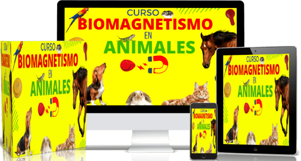 curso de biomagnetismo en mascotas y animales
