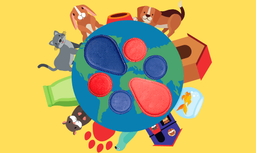 Biomagnetismo para Mascotas Biomagnetismo para Mascotas cómo funciona