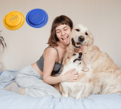 pares magnéticos para perros pares magnéticos para perros