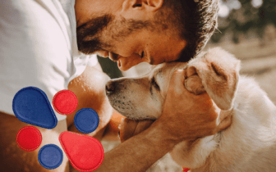 Beneficios del biomagnetismo en perros y gatos